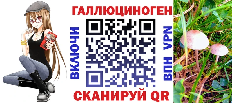 купить наркоту  Славск  Псилоцибиновые грибы Cubensis 